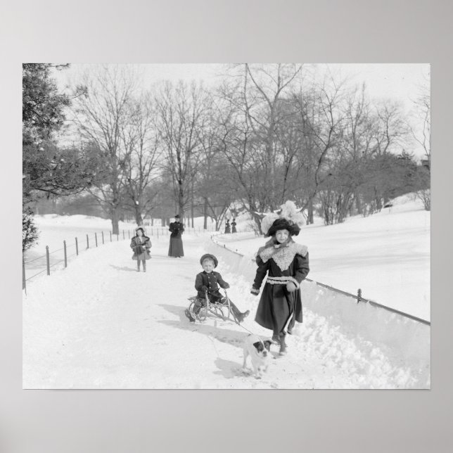 Affiche Hiver à Central Park, 1900. Photo ancienne (Devant)