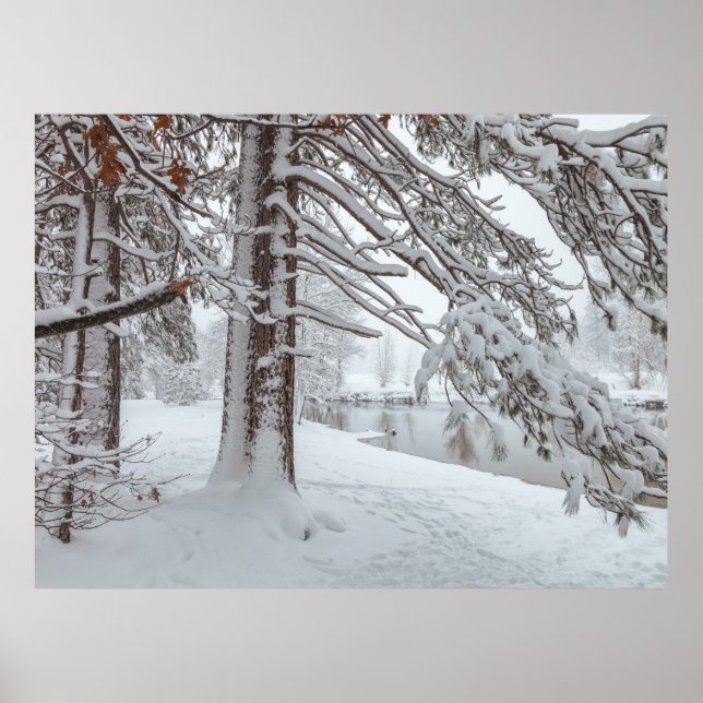 Affiche Hiver blanc (Devant)