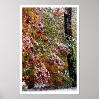 Affiche Hiver précoce