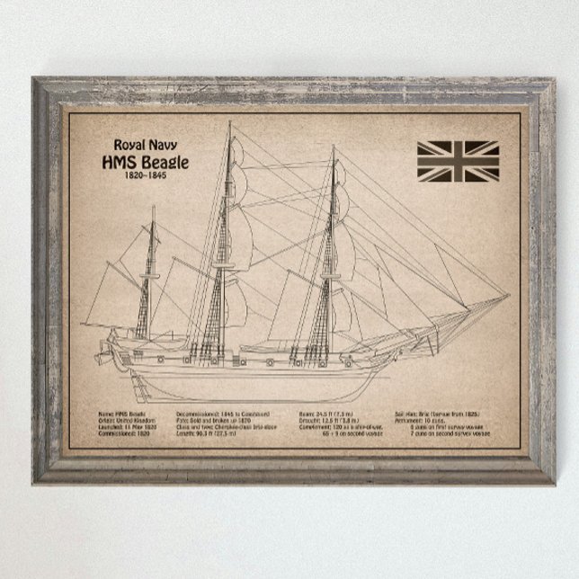 Affiche HMS Beagle grand navire - plan d'expédition SD (Créateur téléchargé)