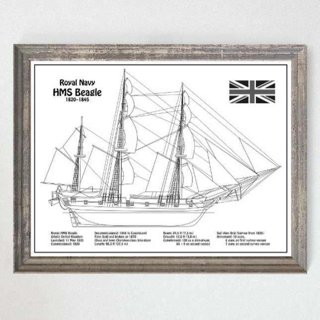 Affiche HMS Beagle Tall Ship - Plan d'expédition BD (Créateur téléchargé)
