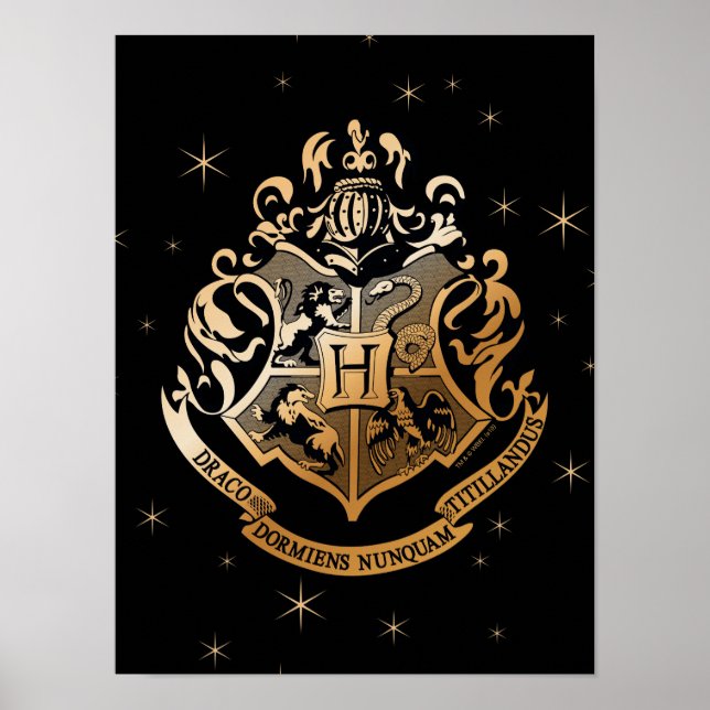 Affiche HOGWARTS™ Crest doré (Devant)