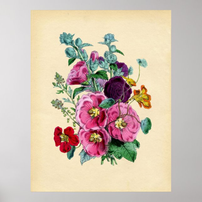 Affiche Hollyhocks botaniques vintages (Devant)