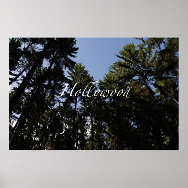 Affiche Hollywood (Devant)