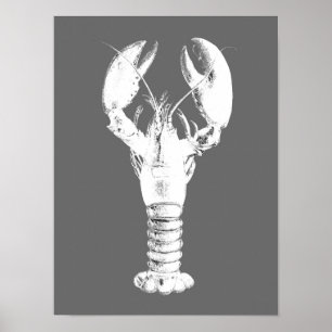 Affiche Homard blanc sur gris / gris