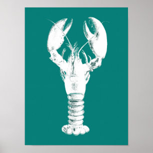 Affiche Homard blanc sur Turquoise / Turquoise