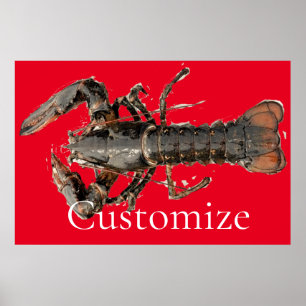 Affiche Homard frais du Maine Thunder_Cove