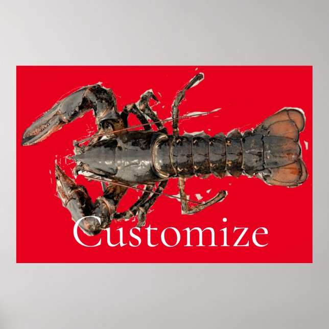Affiche Homard frais du Maine Thunder_Cove (Devant)