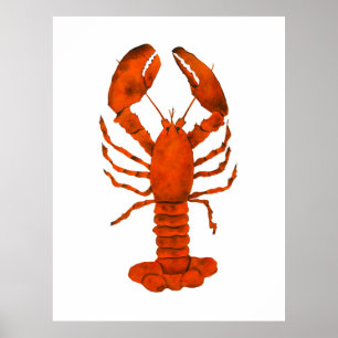 Affiche Homard rouge