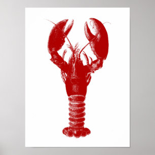 Affiche Homard rouge profond sur blanc