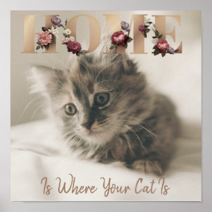 Affiche Home Is Where Your Cat Is