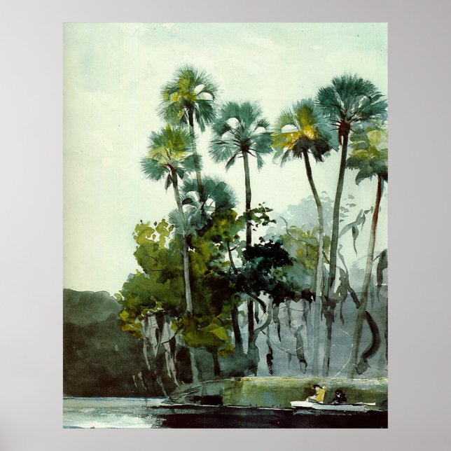 Affiche Homer - Homosassa River (Devant)