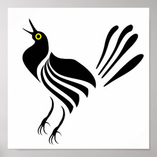 Affiche Homme Gracker Oiseau noir