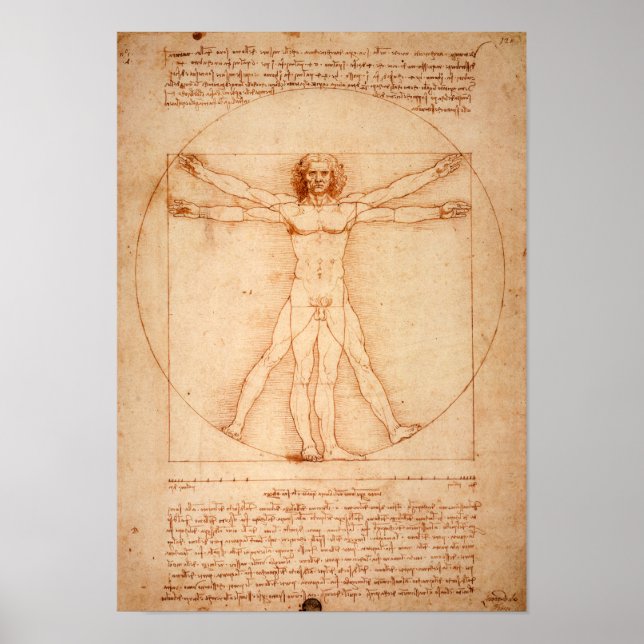 Affiche Homme vitruvien de Da Vinci (1487) (Devant)