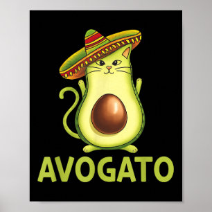 Affiche Hommes Mexicains Avogatos Cinco De Mayo Fiesta Par