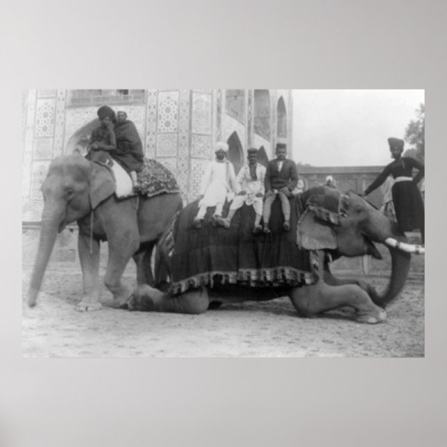 Affiche Hommes tenant des éléphants en Inde PhotoInde (Devant)