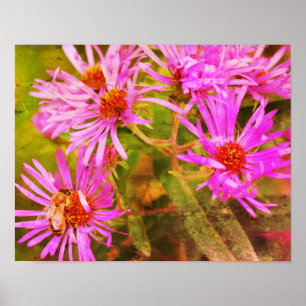 Affiche Honey Bee Aster Flower Distressed Art