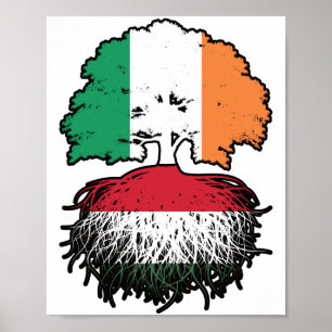 Affiche Hongrie Hongroise Irlande drapeau des racines de l