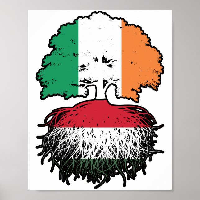 Affiche Hongrie Hongroise Irlande drapeau des racines de l (Devant)