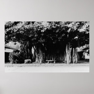 Affiche Honolulu, Hawaii - Le Saucisson