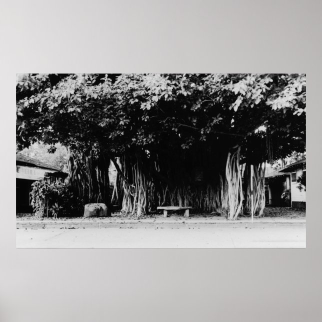 Affiche Honolulu, Hawaii - Le Saucisson (Devant)