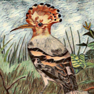Affiche Hoopoe