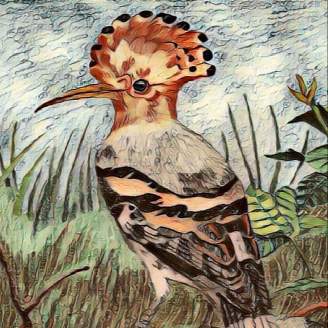 Affiche Hoopoe (Créateur téléchargé)