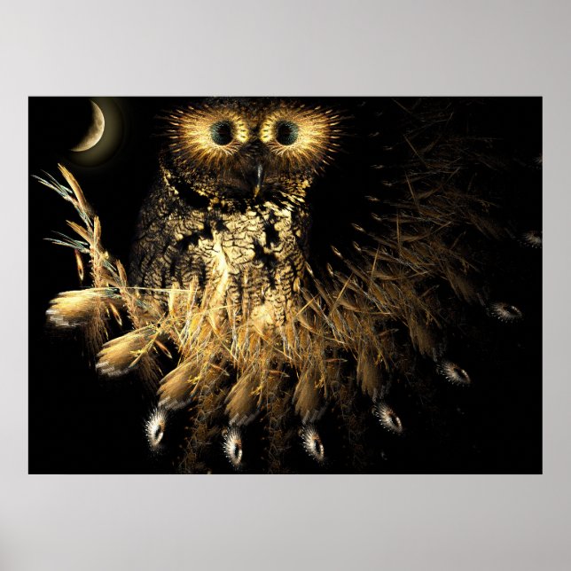Affiche Hootie Owls Nest (Devant)