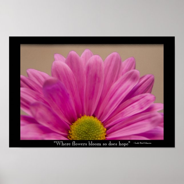 Affiche Hope Blooms rose Gerber Daisy (Devant)