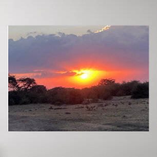 Affiche Horizon Doré – Coucher de soleil Safari Africain P