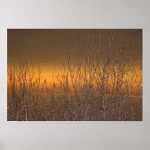 Affiche Horizon sur le lac Érié