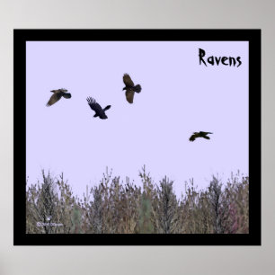 Affiche Horloge des ravens
