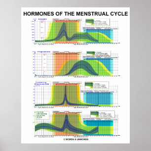 Affiche Hormones Du Cycle Menstruel Menstruation