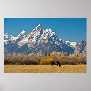 Affiche Horse and Grand Tetons, Moose Head Ranch