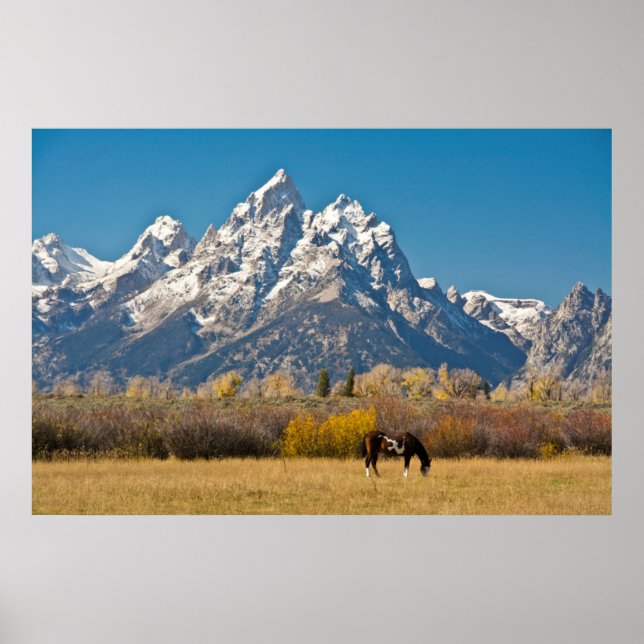 Affiche Horse and Grand Tetons, Moose Head Ranch (Devant)