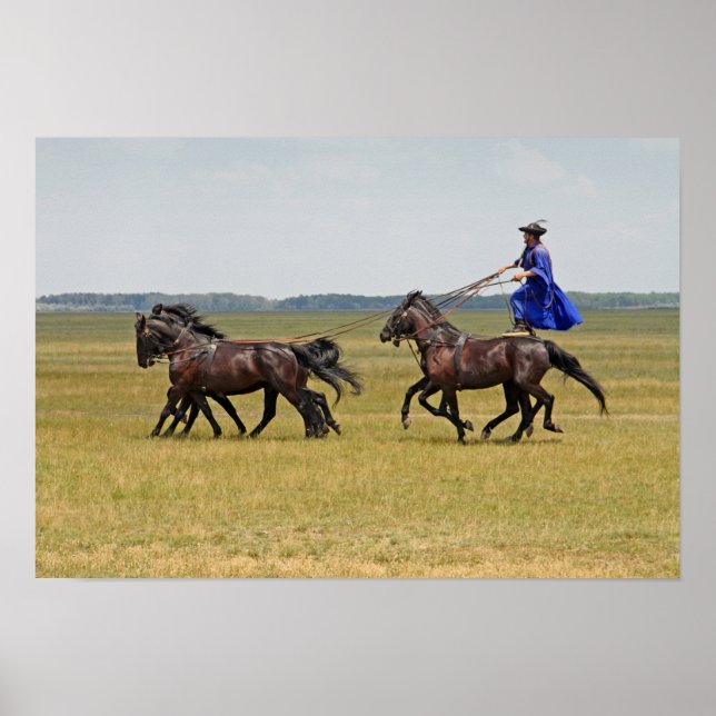 Affiche Horseman hongrois et chevaux (Devant)