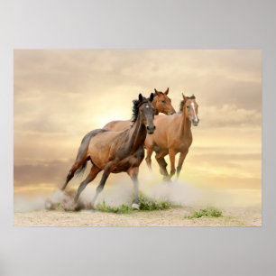 Affiche Horses In Sunset