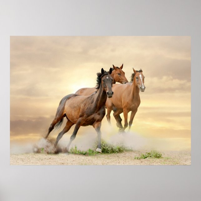 Affiche Horses In Sunset (Devant)