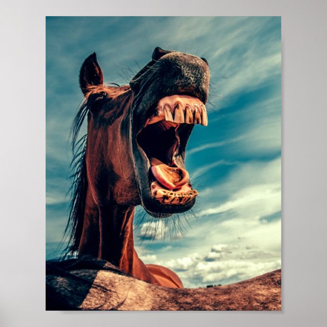 Affiche Horse's Mouth Teeth Neigh Wild Horse Animal (Devant)