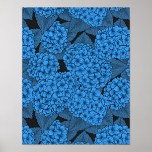 Affiche Hortensia bleu