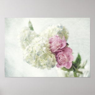 Affiche Hortensia bleu et copie rose de pivoine