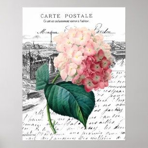 Affiche Hortensia rose vintage