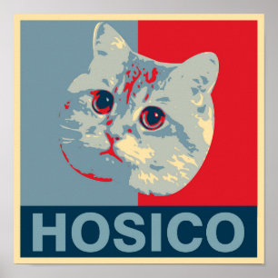 Affiche Hosico - Illustration rouge bleu