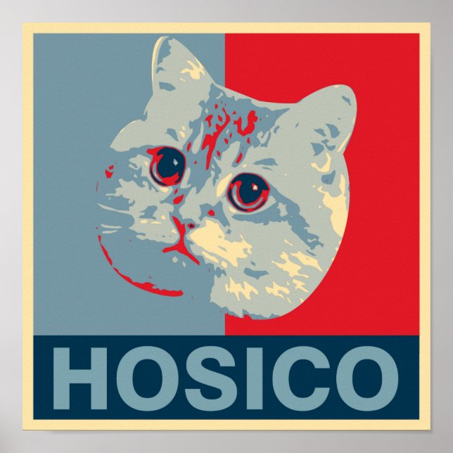 Affiche Hosico - Illustration rouge bleu (Devant)