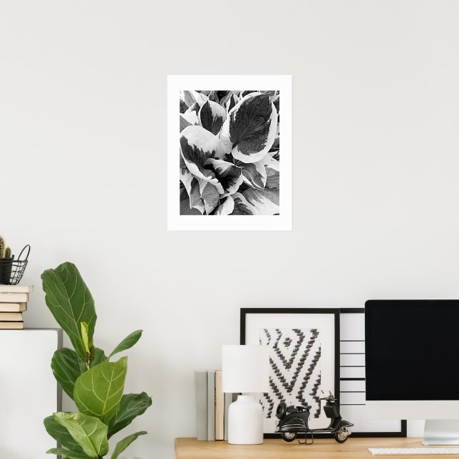 Affiche Hosta panaché floral noir et blanc (Bureau à domicile)