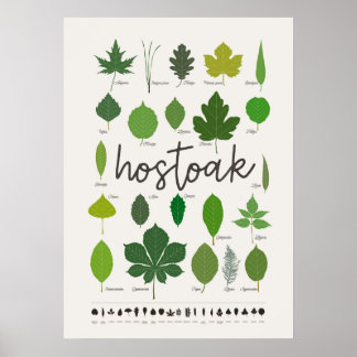 Affiche Hostoak ・ Hojas