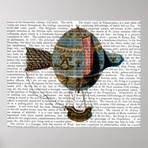 Affiche Hot Air Balloon With Tail Feather