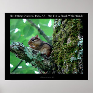 Affiche Hot Springs National Park, AR Chipmunk Snack