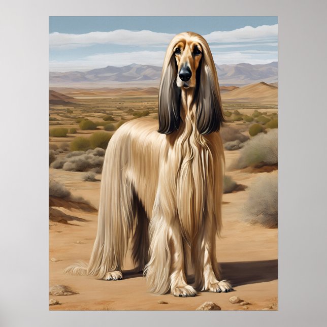Affiche Hound Afghan - Art Chien (Devant)