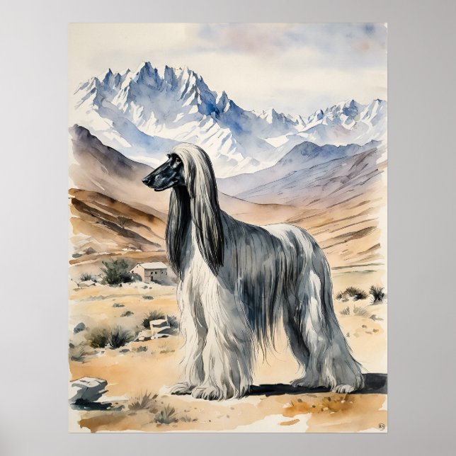 Affiche Hound Afghan - Art Chien (Devant)